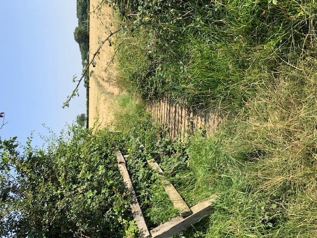 Doddinghurst FootBridge Before